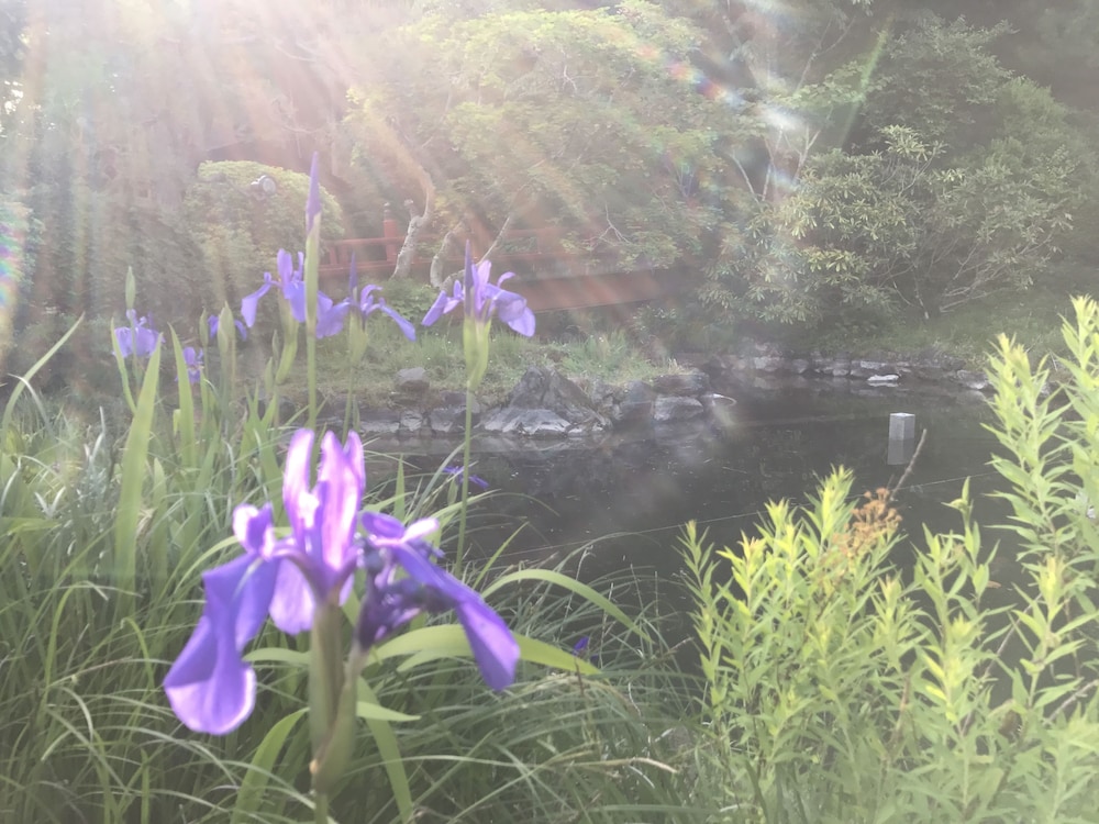 高野山 赤松院 和歌山