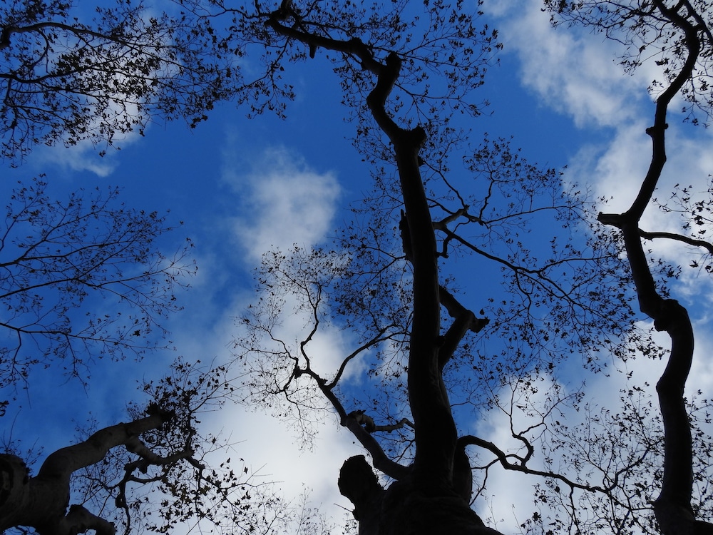 高野山 赤松院 和歌山