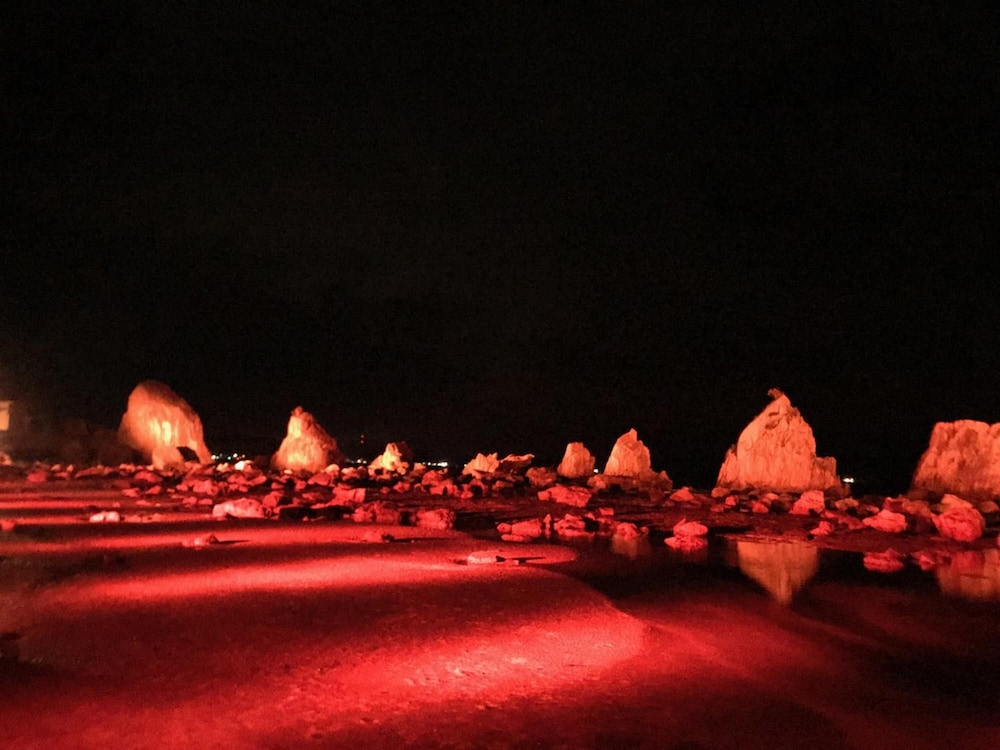 ゲストハウス BRANCHEE 和歌山