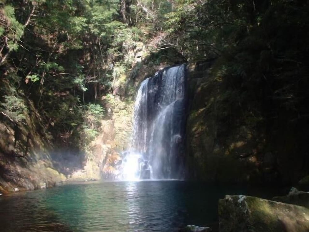 パルス イン 勝浦 和歌山