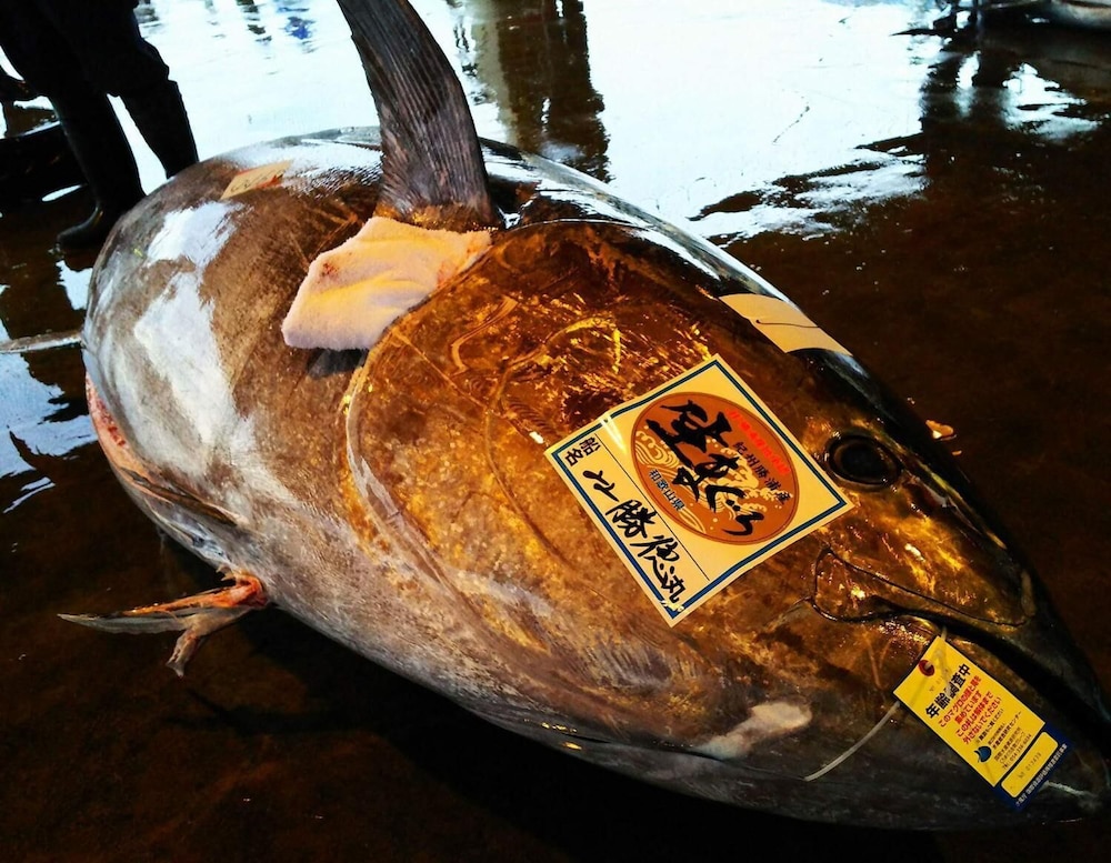 パルス イン 勝浦 和歌山