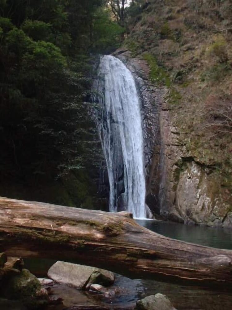 パルス イン 勝浦 和歌山