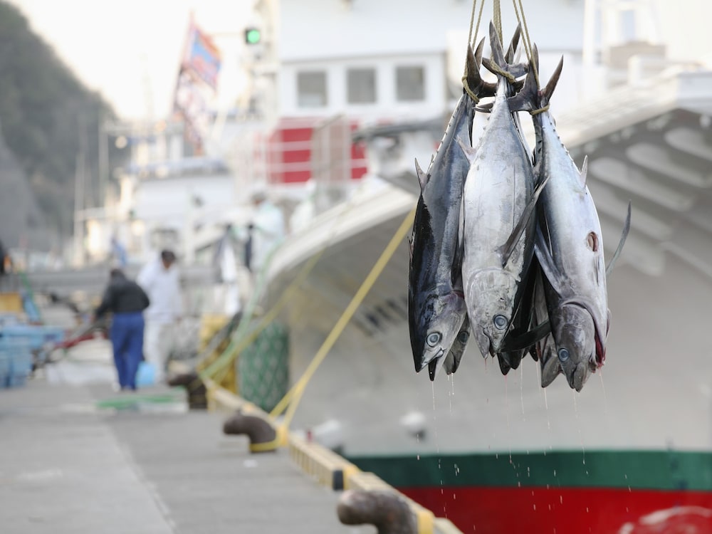 TAOYA那智勝浦 和歌山
