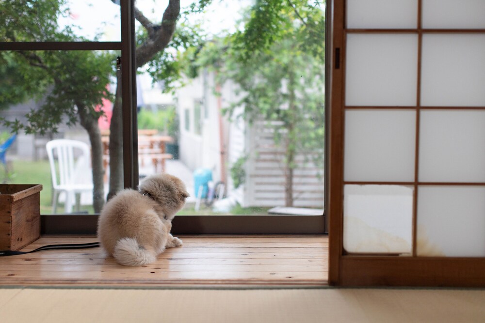 CAFE AND GUESTHOUSE 楓荘 和歌山