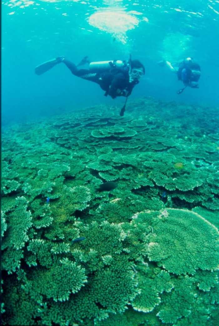 ゲストハウス 木 BOKU 和歌山