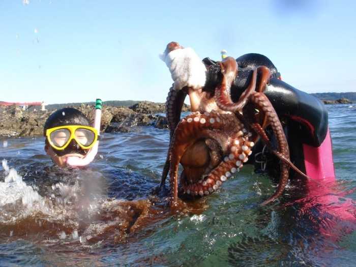 ゲストハウス 木 BOKU 和歌山