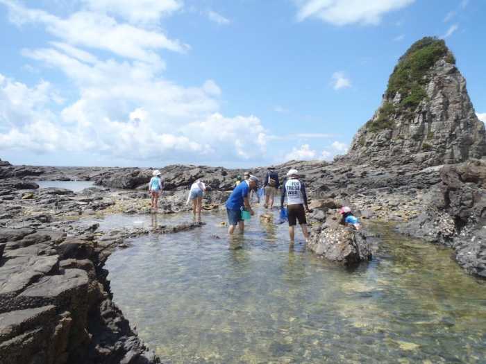 ゲストハウス 木 BOKU 和歌山