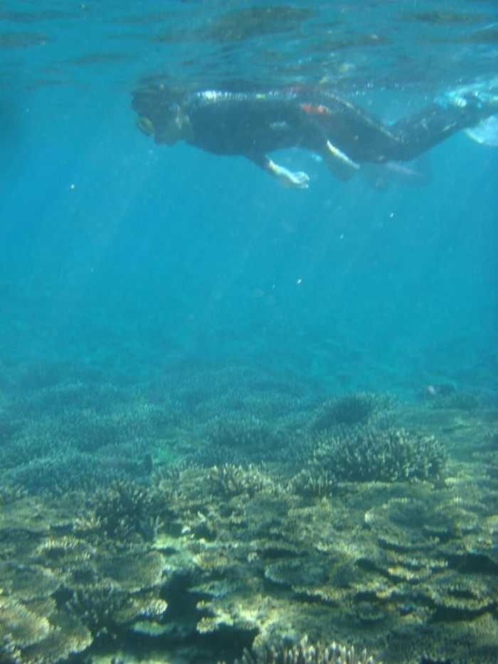 ゲストハウス 木 BOKU 和歌山