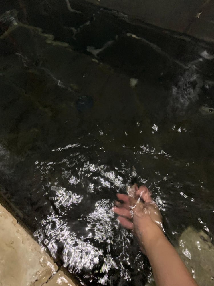 川湯温泉 民宿 すみ家 和歌山