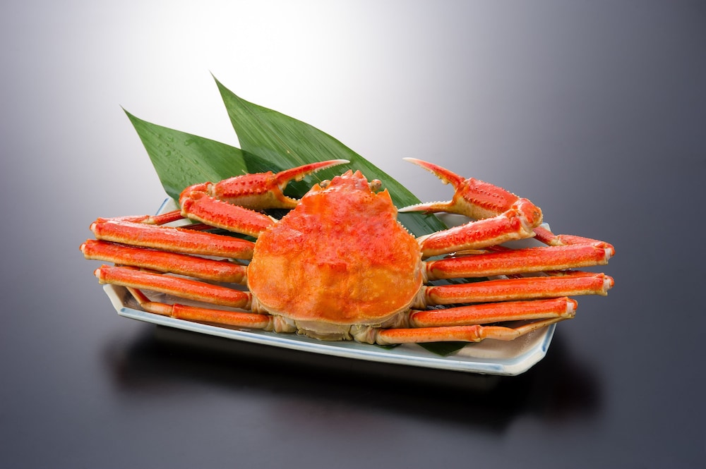 月本屋旅館 但馬