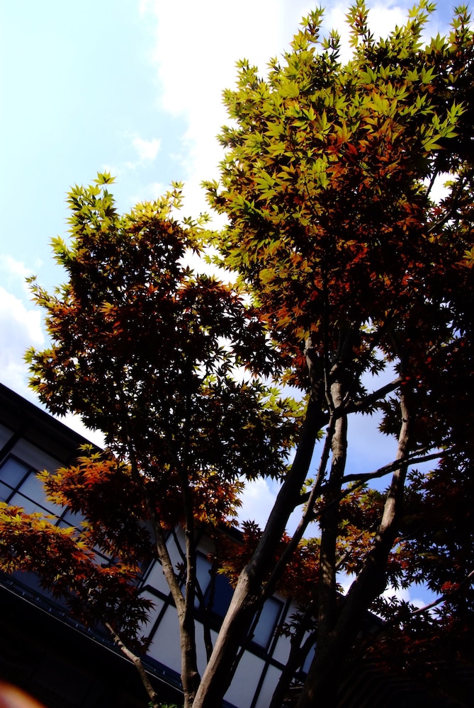 大西屋水翔苑 但馬