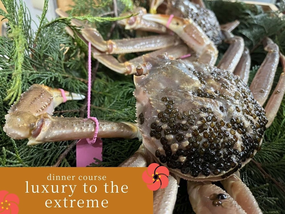 城崎温泉 夢こやど 天望苑 但馬