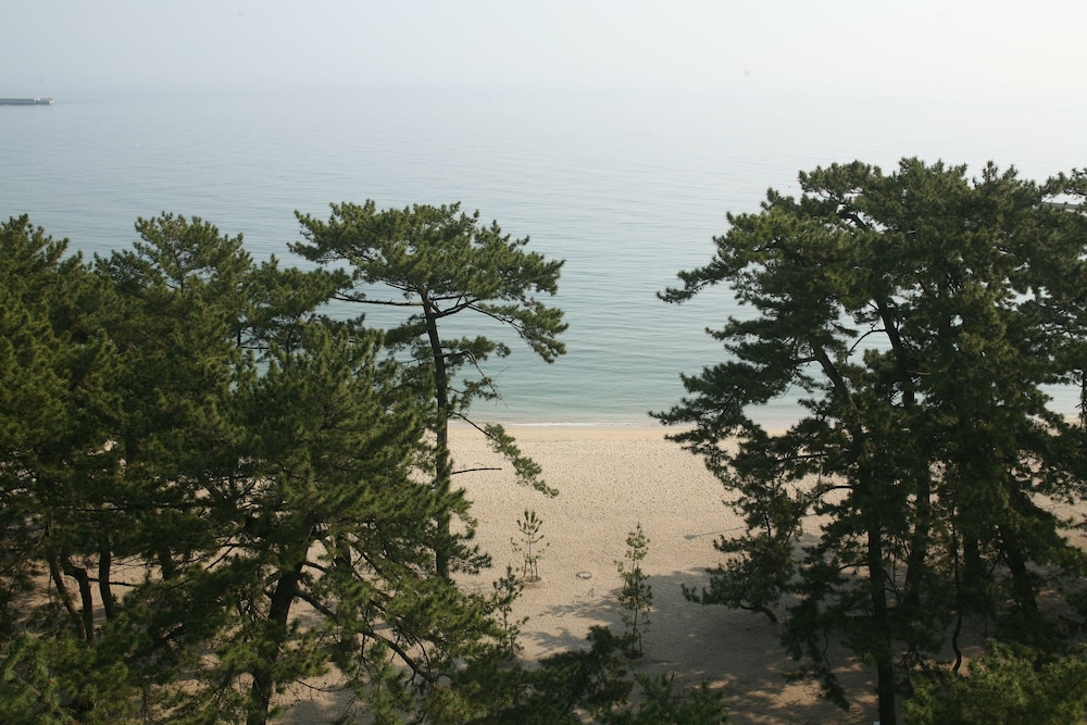 夢海游 淡路島 但馬