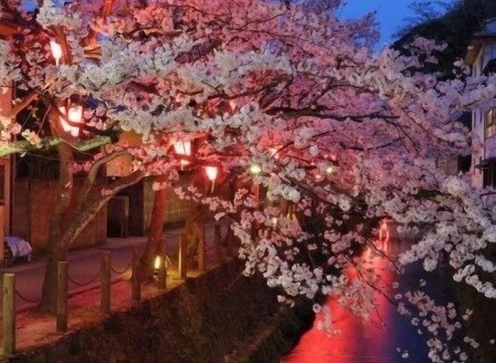 かに庵 但馬
