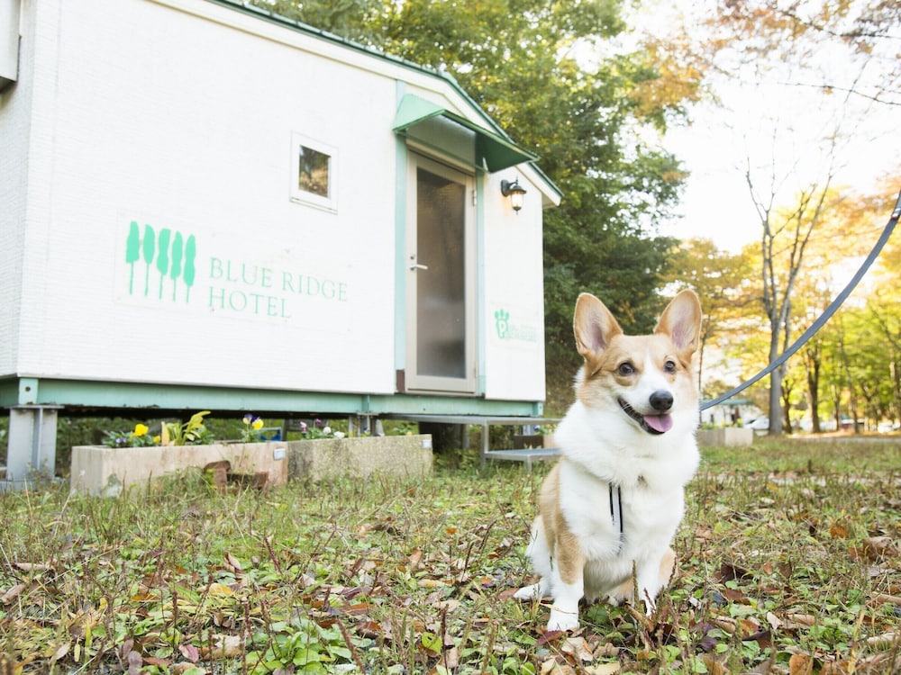 ブルー リッジ ホテル 但馬
