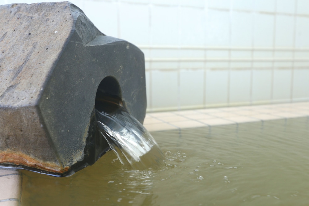 宙の森ホテル 花郷里 但馬