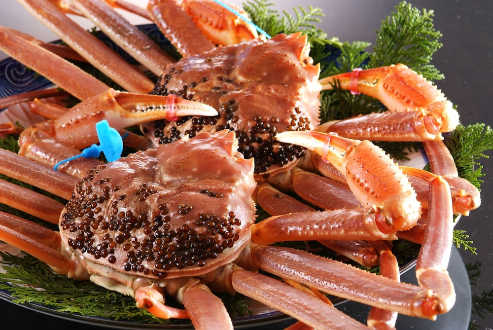 城崎温泉 但馬屋 但馬