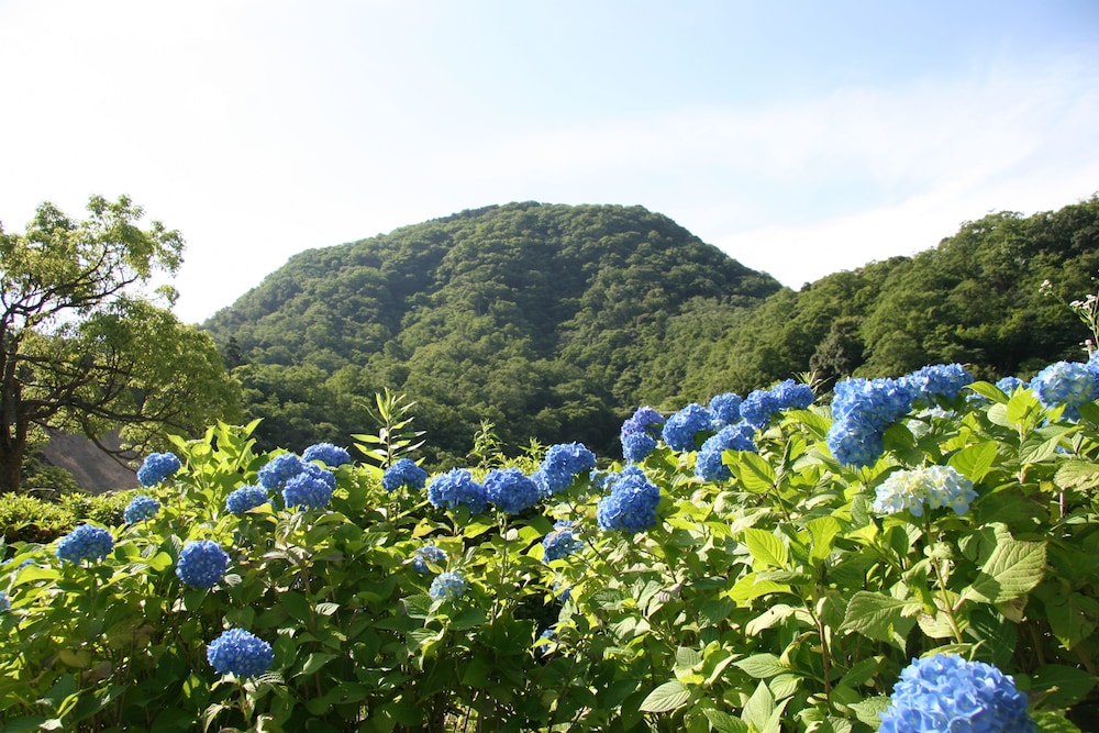 城崎 円山川 ひだまり 但馬