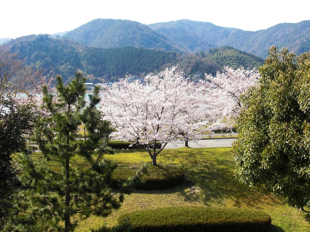 城崎 円山川 ひだまり 但馬