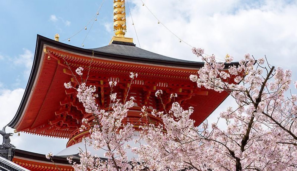 宝塚温泉 ホテル若水 但馬