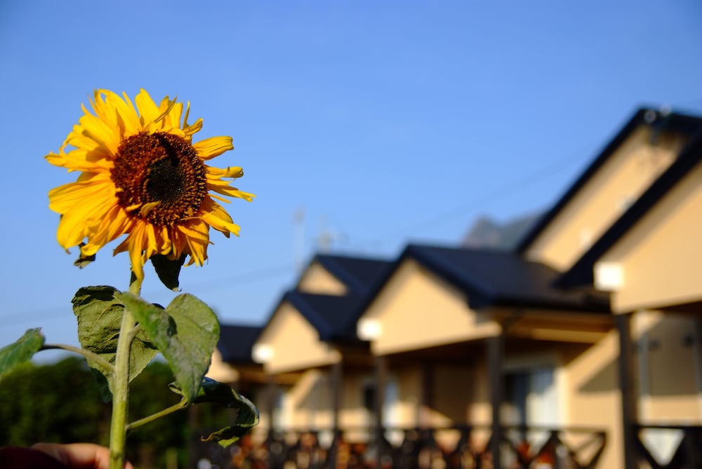 屋久島 コテージ 森のフェアリー 屋久島