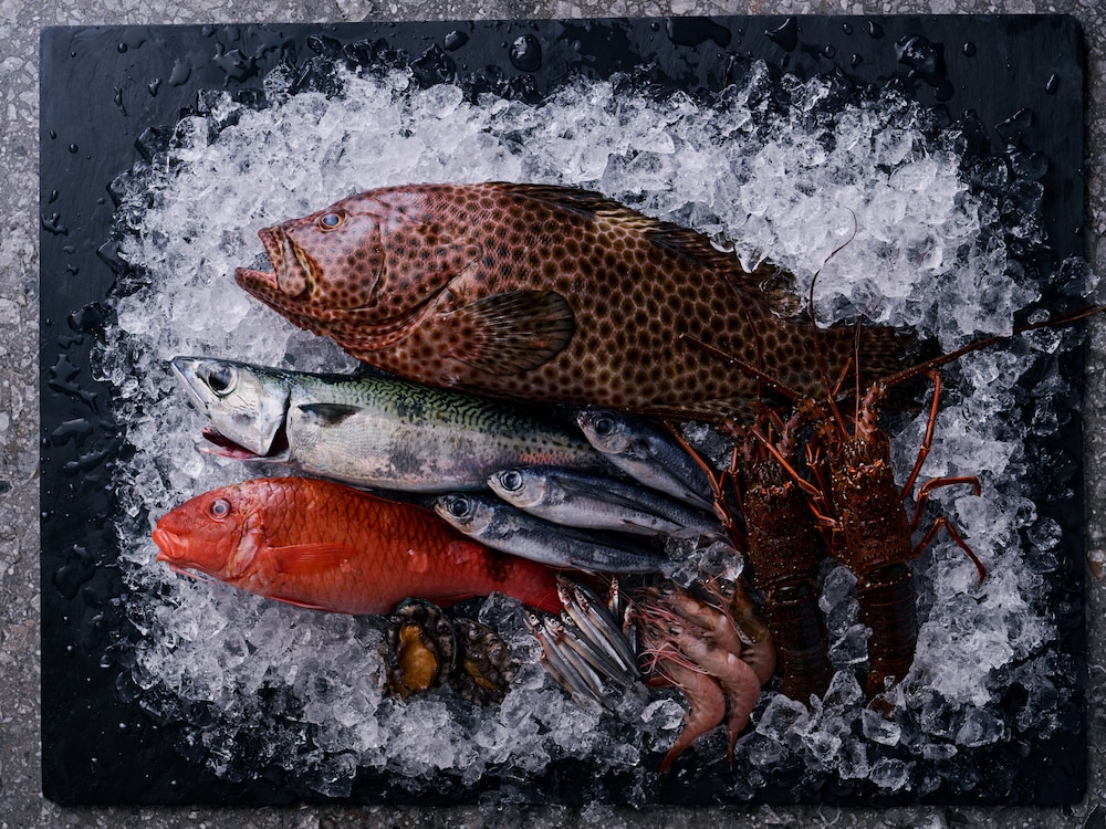 サマナ ホテル 屋久島 屋久島