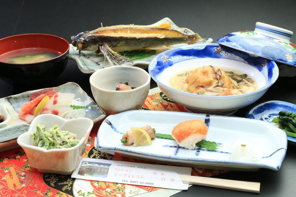 ペンション シーフォレスト 屋久島