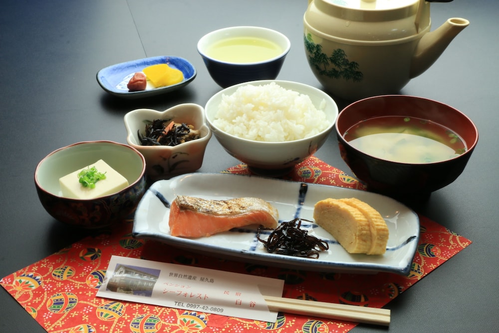 ペンション シーフォレスト 屋久島