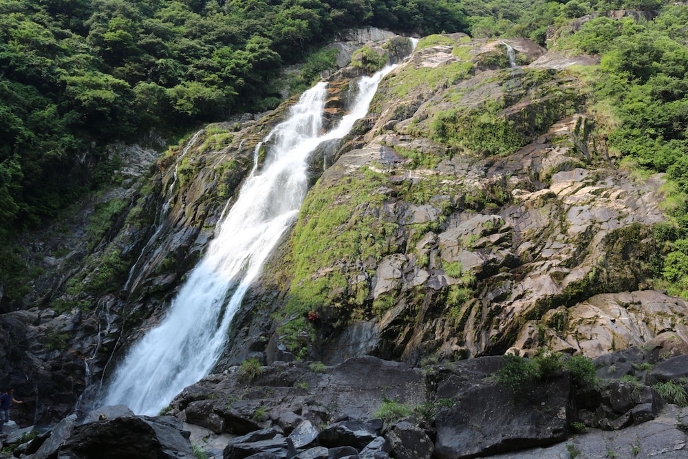 コテージ 屋久杉の家 屋久島