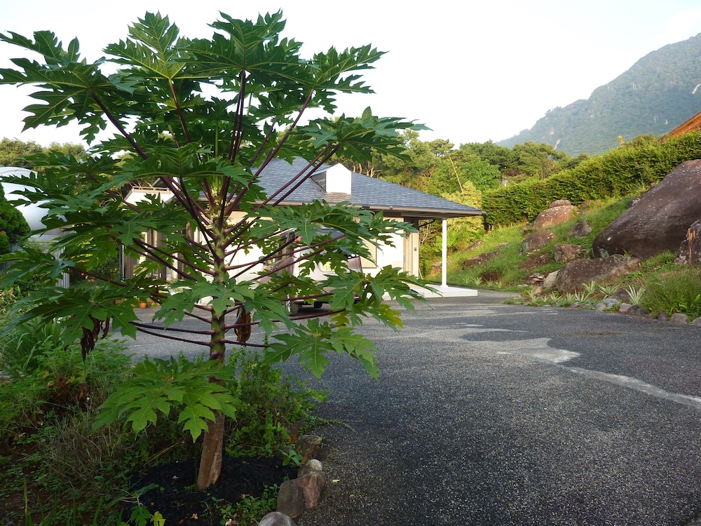 宿・天豆 屋久島