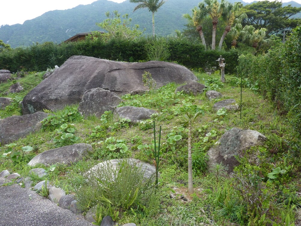 宿・天豆 屋久島