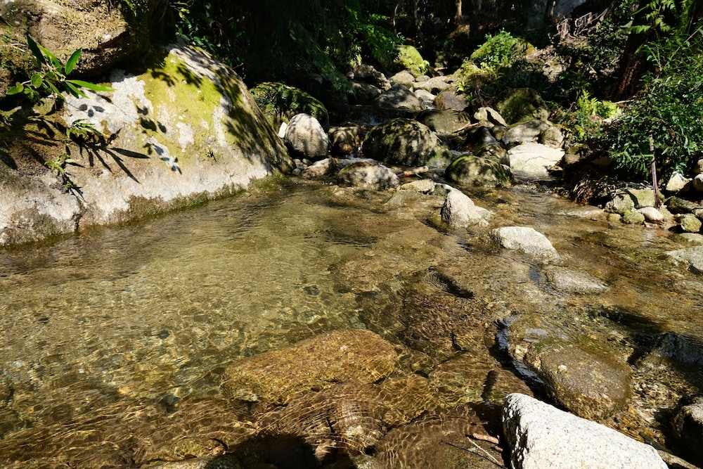 コテージヴューズ 屋久島