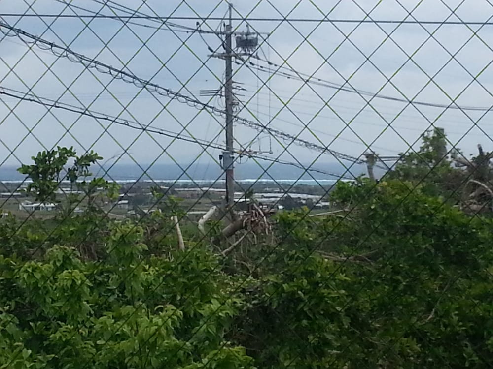 民宿明星荘 屋久島