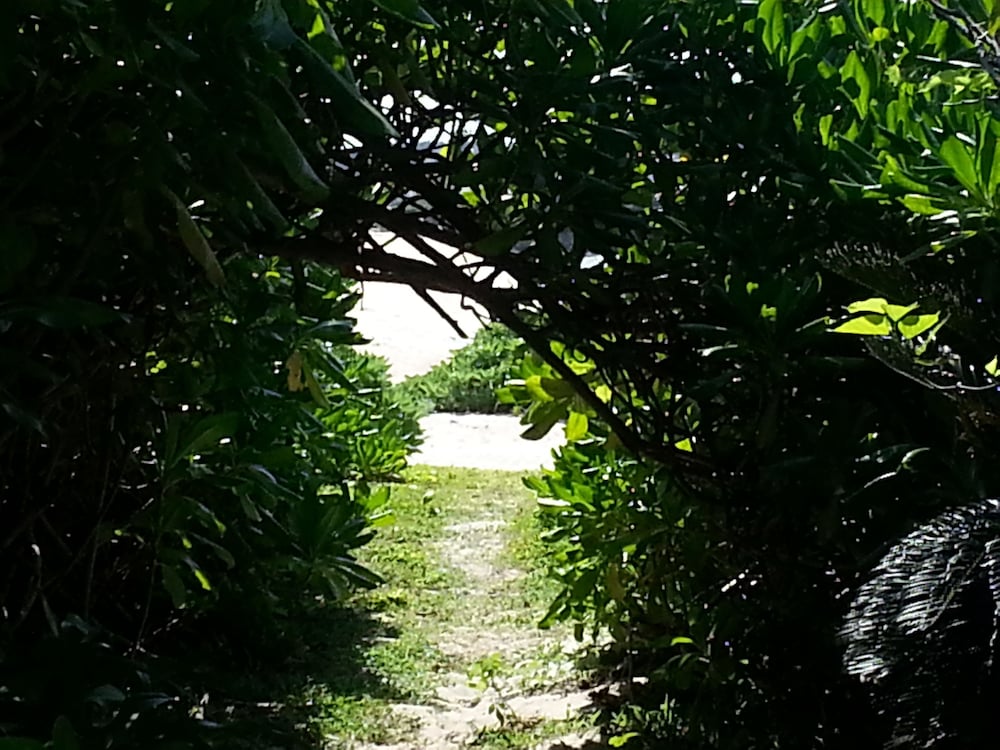 民宿明星荘 屋久島