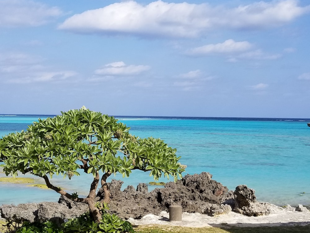 民宿明星荘 屋久島
