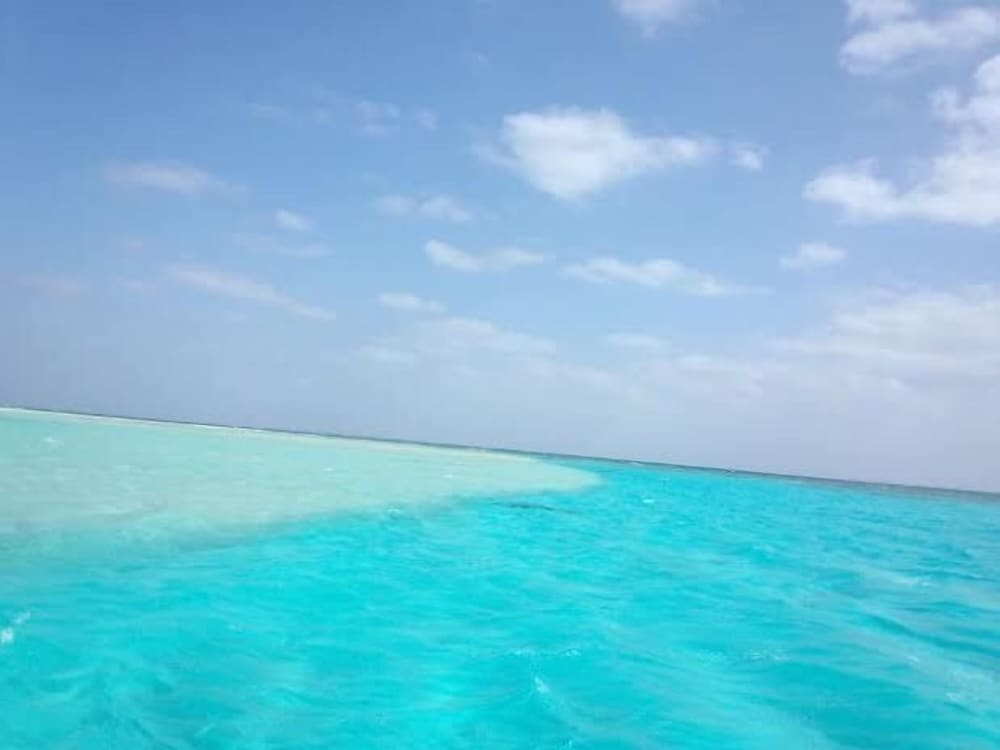 民宿明星荘 屋久島
