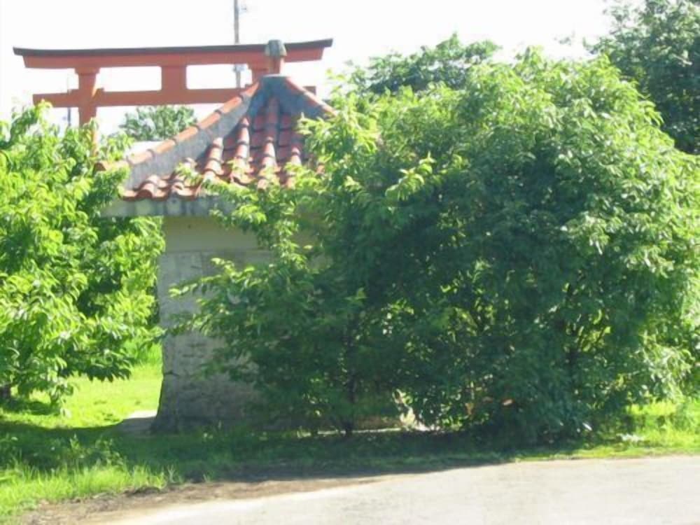 民宿明星荘 屋久島