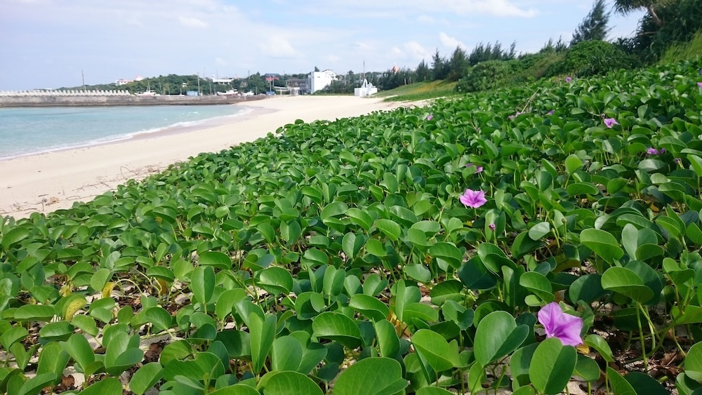 星砂荘 屋久島