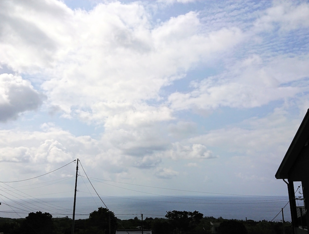 屋久島デフファーム 屋久島