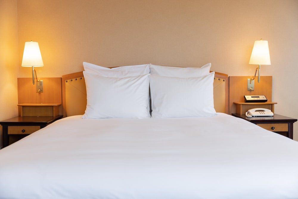 ANA クラウンプラザホテル富山 IHG ホテル 富山