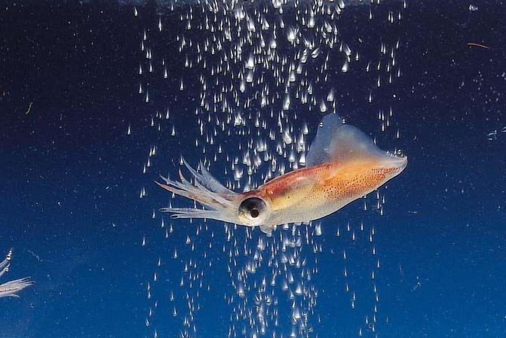 アパホテル〈魚津駅前〉 富山