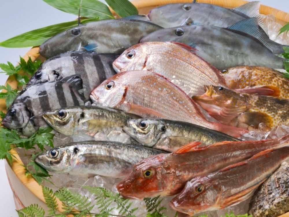 黒部・宇奈月温泉 やまのは 富山