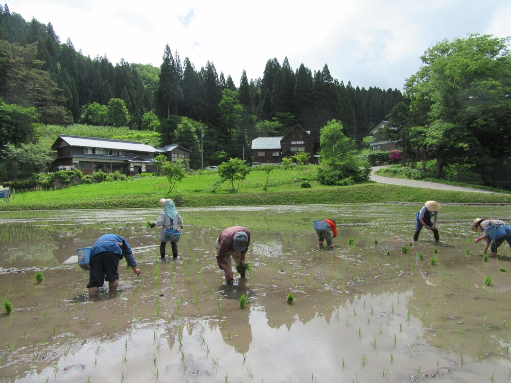 中の屋 富山