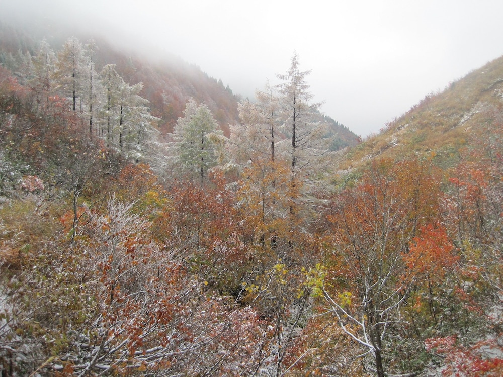 中の屋 富山