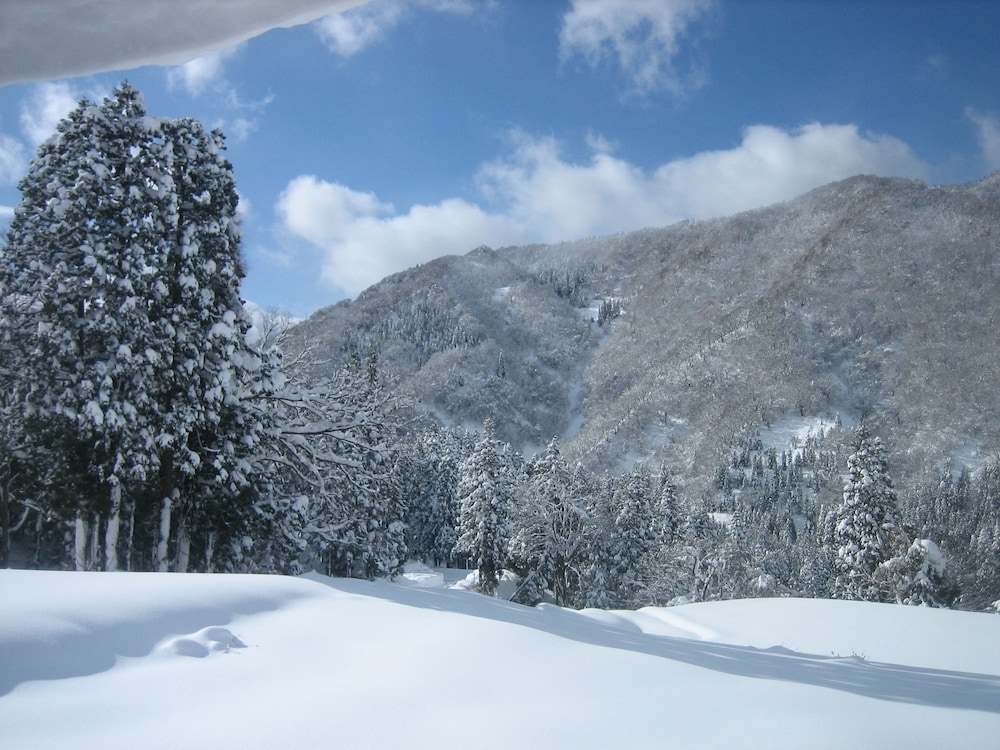 中の屋 富山