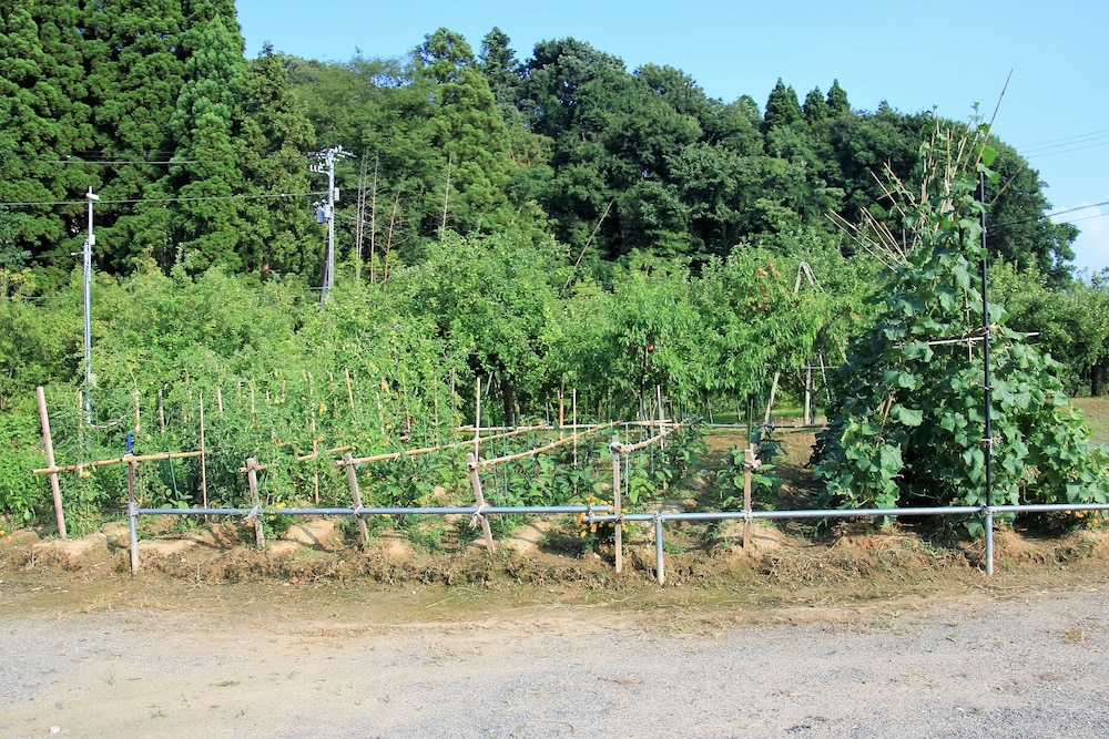 民宿いけもり 富山