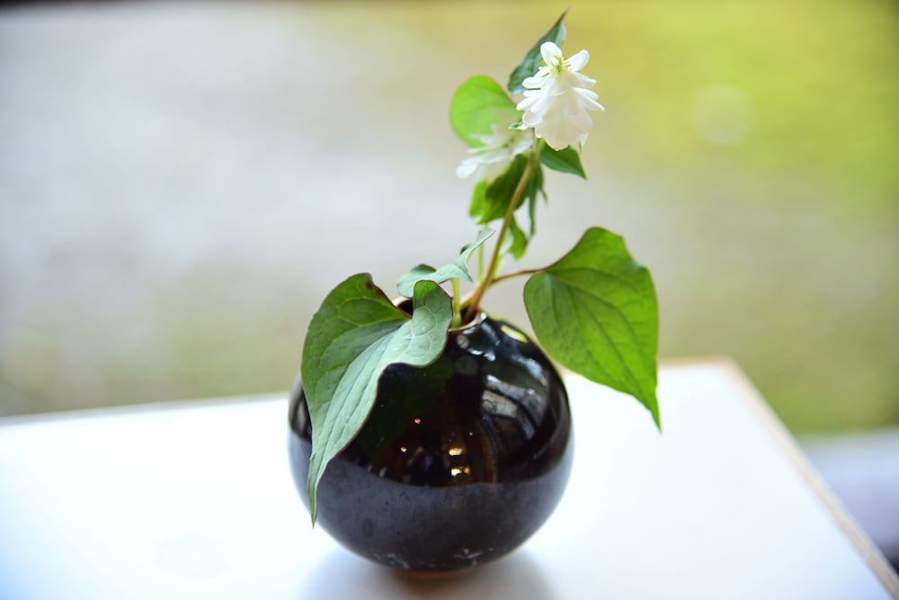 生地温泉 たなかや 富山