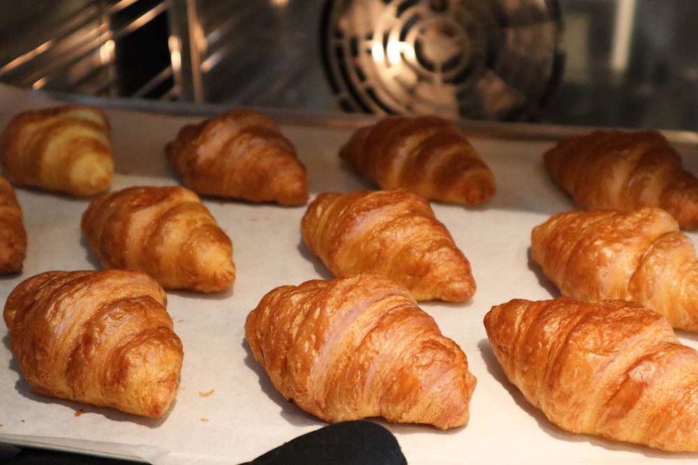 ホテル JAL シティ富山 富山