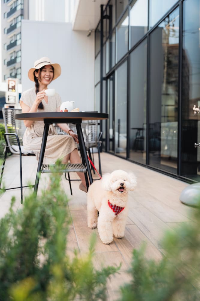 ホテル JAL シティ富山 富山