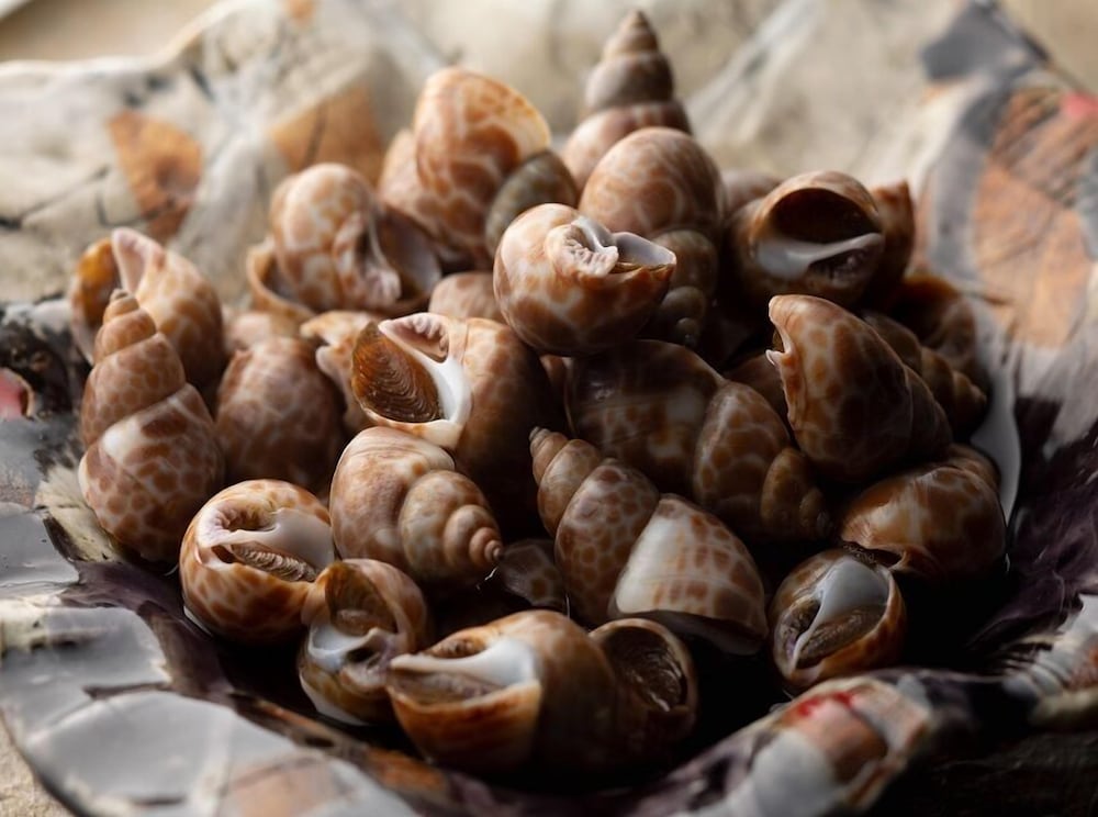 ホテルヴィスキオ 富山 富山